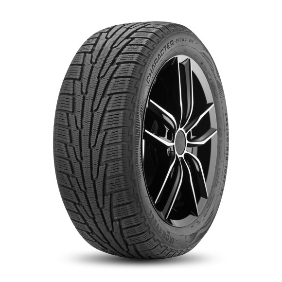 Шины Ikon 235/55 r18 Character Snow 2 SUV (Nordman RS2 SUV) 104R Шины Ikon 235/55 r18 Character Snow 2 SUV (Nordman RS2 SUV) 104R