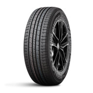 Шины DoubleStar  245/65/17  H 107 DSS02   старше 3-х лет