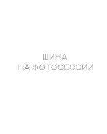 Шины Tunga 175/70 r13 Nordway 3 82Q Шипы
